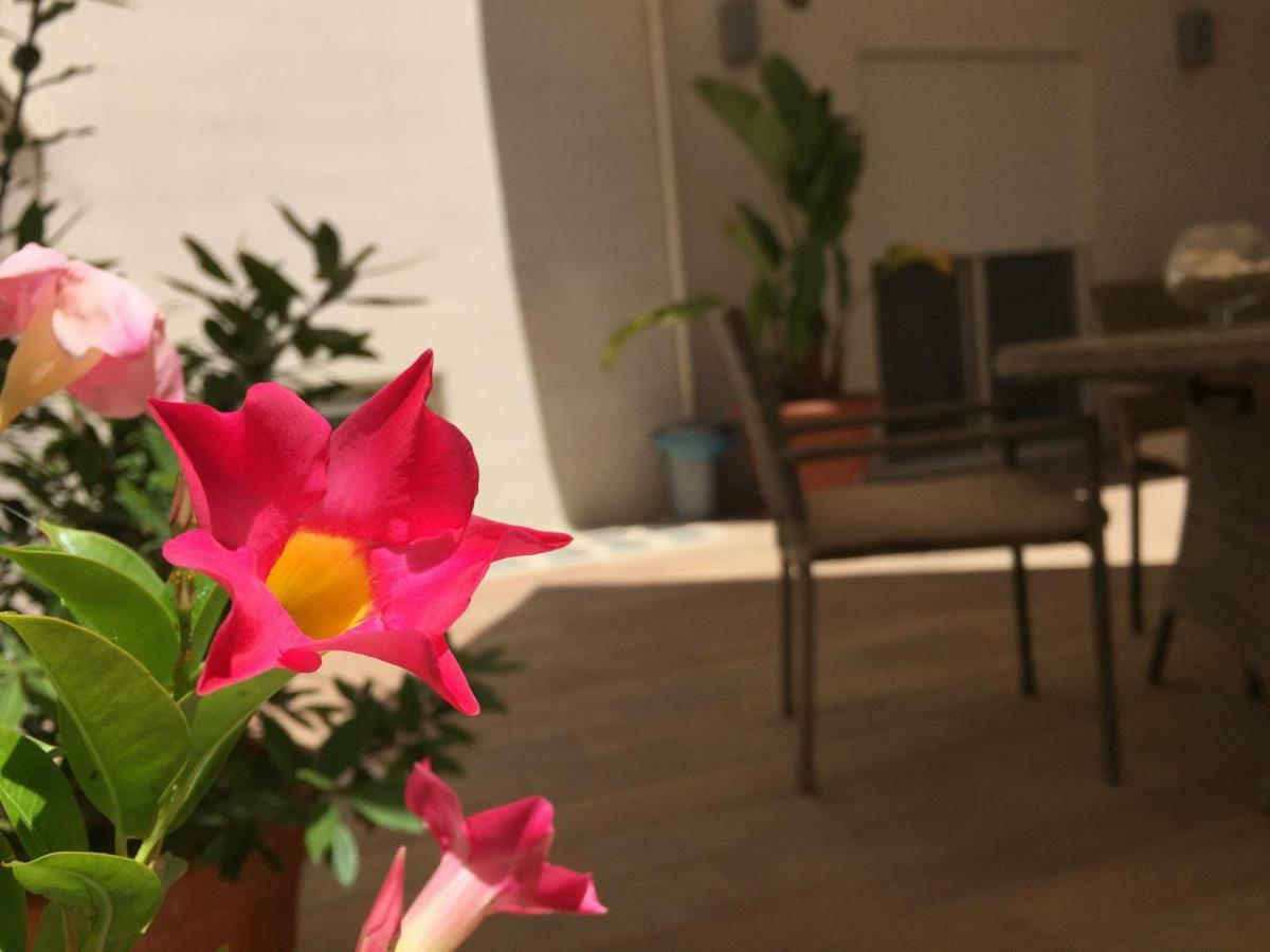 Casa Roberta Bed & Breakfast Monopoli Exterior photo